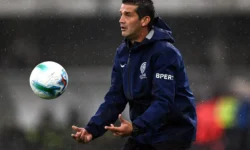 Chivu image photo