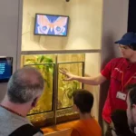 Mostra insetti & co