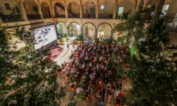 Foto il cinema di foqus