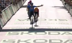 Mathieu van der poel